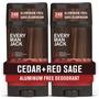 Imagem de Desodorante Every Man Jack Cedar + Red Sage - 90ml (Pack com 2)