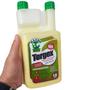 Imagem de Detergente Tergex Ecológico Lava Louça Super Concentrado 1L