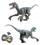 Imagem de Dino Velociraptor Com Controle Remoto Zoop Toys