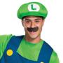 Imagem de Disfarce: Luigi  Disfarce oficial do Nintendo Super Mario Bros