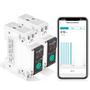 Imagem de Disjuntor Inteligente Zigbee 1-63A, Google Assistant E Alexa