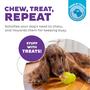 Imagem de Dog Chew Toy Outward Hound Double-Tuff Treat Stuffer Green