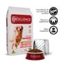 Imagem de Dog Excellence Adulto Raças Grandes - HI-PREMIUM - Frango e Arroz - 15kg