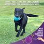 Imagem de Dog Fetch Balls Chew King Borracha natural extremamente durável