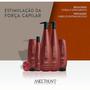 Imagem de Dose Fortalecedora Aneethun Force System 25g