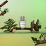 Imagem de Dossiê de perfume Aromatic Bergamota 50ml para homens inspirado em YSL