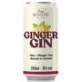 Imagem de Drink Pronto EASY BOOZE Lata Gin+Ginger 269Ml