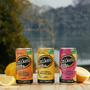 Imagem de Drink Pronto Mike'S Hard Lemonade Pitaia 269Ml (6 Latas)