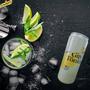 Imagem de Drink Pronto Schweppes Gin Tônica 310Ml