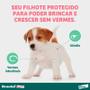 Imagem de Drontal Puppy para Cães Filhotes 20 mL - Bayer (VAL: Junho/2024)