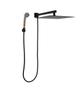 Imagem de Ducha Chuveiro Inox 304 30 cm Preto Fosco com Ducha Manual ABS com Esferas Ionizantes