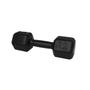 Imagem de Dumbbell 12kg Viking - Peso e Qualidade