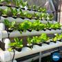Imagem de DuoMix A-B Macro e Micro Nutriente para Hidroponia 