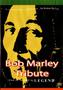 Imagem de DVD Bob Marley - Tribute - Sonopress