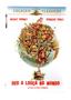 Imagem de Dvd Deu A Louca No Mundo - Mickey Rooney