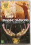 Imagem de Dvd Imagine Dragons - Smoke + Mirrors Live