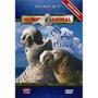 Imagem de Dvd Mundo Animal - Elefante Marinho Vol. 7 De 12