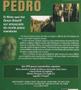 Imagem de DVD Pedro O Sacrifício de Um Homem Omar Sharif