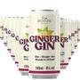 Imagem de EASY BOOZE Lata Gin+Ginger 269ML (12 unidades)