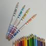 Imagem de Ecolápis de cor 20 cores + 4 Ecolápis Bicolor Faber-Castell