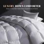 Imagem de Edredom DOWNSTORIA Feather Down Twin Size branco