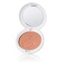 Imagem de Embryolisse Bonne Mine Universal Shade Pó Compacto Matte 12g