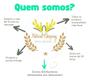 Imagem de Emulsão Oxidante Hydrafarma 10 Volumes Estabilizante