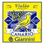 Imagem de Encordoamento Violão Giannini Aço - Canário C/Chenilha