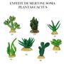 Imagem de Enfeite de silicone soma planta cactus 04