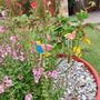 Imagem de Enfeite Decoração Jardim Vaso Passarinhos Pássaros com Vareta Espeto Em Madeira Decorativo Casa de Flores Feito a Mão