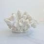 Imagem de Enfeite Escultura de Poliresina Coral Branco 18 x12 x 12 cm - MART