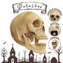 Imagem de Enfeite Halloween Cranio Caveira Esqueleto Gargalhada Assustadora Maxilar Articulado Sensor Movimento
