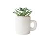 Imagem de ENFEITE NA CANECA COM PLANTA ARTIFICIAL SUCULENTA 5.4 x 6cm