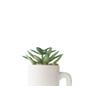 Imagem de ENFEITE NA CANECA COM PLANTA ARTIFICIAL SUCULENTA 5.4 x 6cm