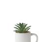Imagem de ENFEITE NA CANECA COM PLANTA ARTIFICIAL SUCULENTA 5.4 x 6cm