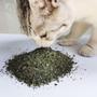 Imagem de Erva Atrativo Gatos 100% Natural Catnip Cartela 6 Saches 2G