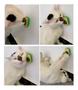 Imagem de Erva Natural Catnip Para Gatos Brinquedo Relaxante Abacate Original