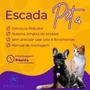 Imagem de Escada Pet 4 Degraus Com Carpete Antiderrapante e Nicho Para Cachorro Gato Coelho e Outros Animais