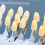 Imagem de Escala de Cores Toothguide 3d Master Vita Cores 0m1 - 5m3 Original Wilcos