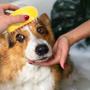 Imagem de Escova a Vapor Cachorro Pet Cao Gato Eletrico Removedor de Pelo Bateria Recarregavel Higiene Limpeza Animal de Estimaçao