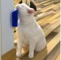 Imagem de Escova automassageadora para gatos - remoção de pêlos- com cat nip - Novo Século