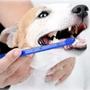 Imagem de Escova de dente pet dois lados cães e gatos azul para limpeza mau hálito eliminação de tártaro western