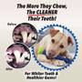 Imagem de Escova de dentes BulbHead para escova de dentes e brinquedo para cães não é necessário pasta de dente para cães MORDEDOR
