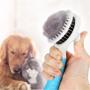 Imagem de Escova para Pentear Cachorro e Gatos Escova Massageadora Pet