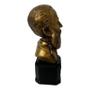 Imagem de Escultura Busto Dr. Bezerra de Menezes Dourado 12,5cm Resina