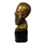 Imagem de Escultura Busto Dr. Bezerra De Menezes Dourado 12,5Cm Resina