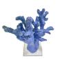 Imagem de Escultura coral medio com base acrilica azul cobalto