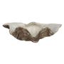 Imagem de Escultura Decorativa Concha em Resina 25cm SS0272 BTC
