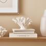 Imagem de Escultura Decorativa Coral Branco em Poliresina 14cm 13425 Mart