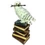 Imagem de Escultura Enfeite Coruja Branca Varinha Mágica Harry Potter Veronese Original